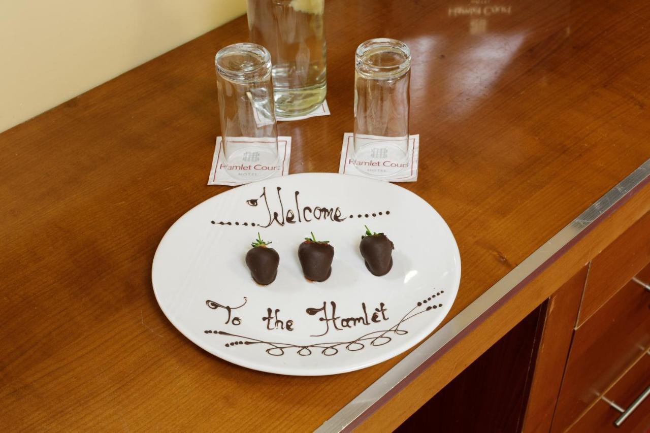 Hamlet Court Hotel Johnstown Bridge Zewnętrze zdjęcie